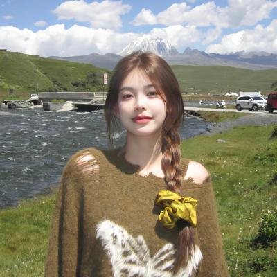 功夫传人之龙拳小子