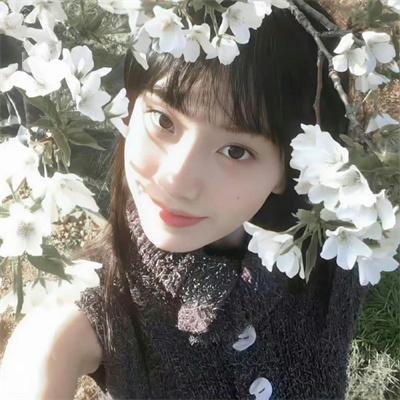 一帘幽梦